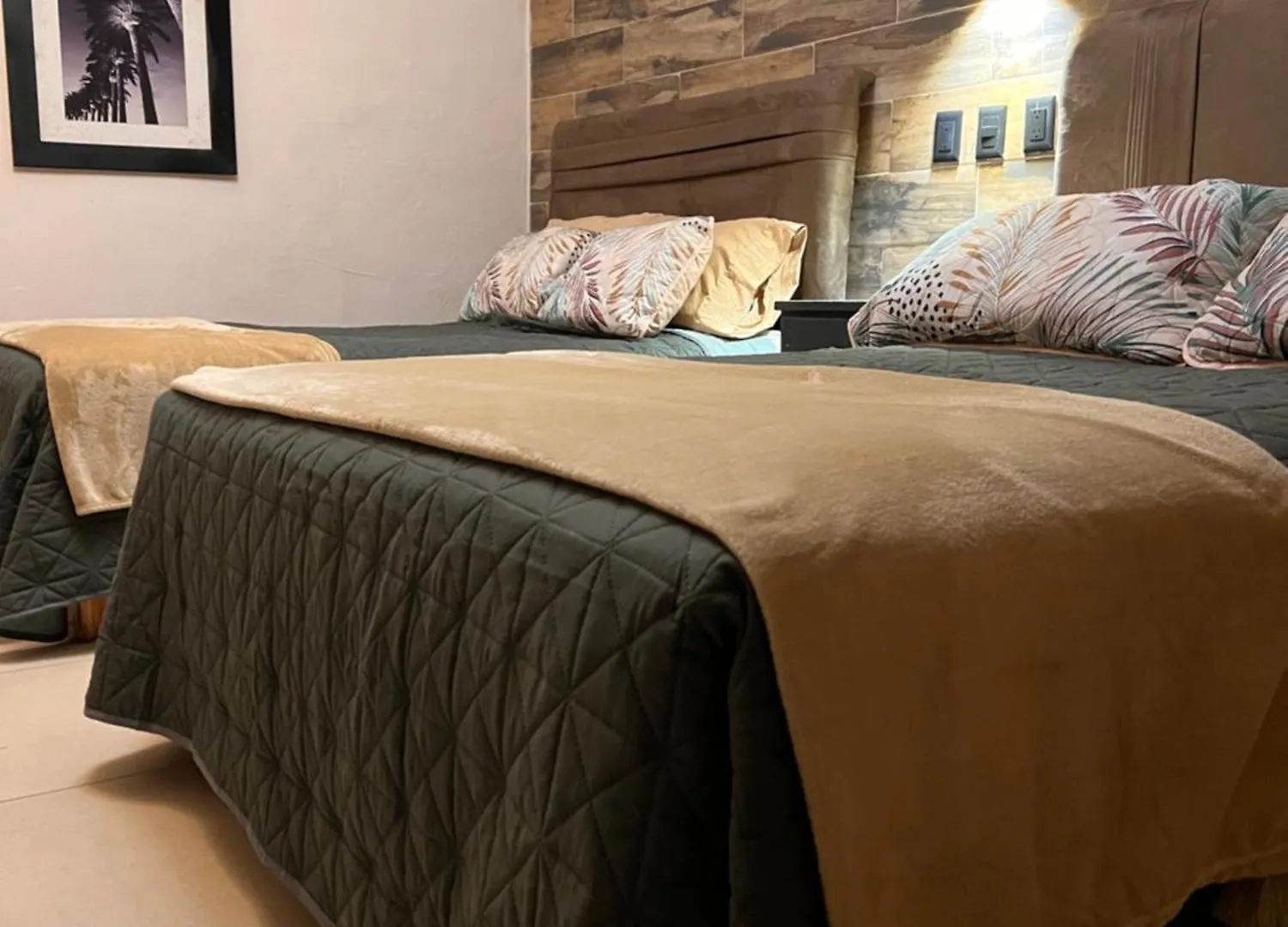 Eco-Hotel Black Tree Mazatlán Hotel