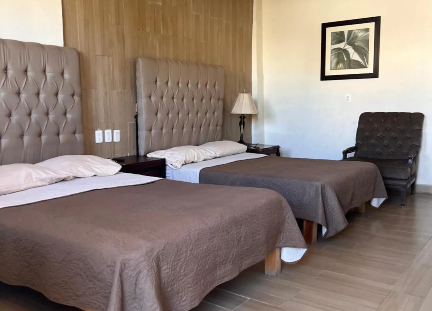 Hotel Eco-Hotel Black Tree Mazatlán