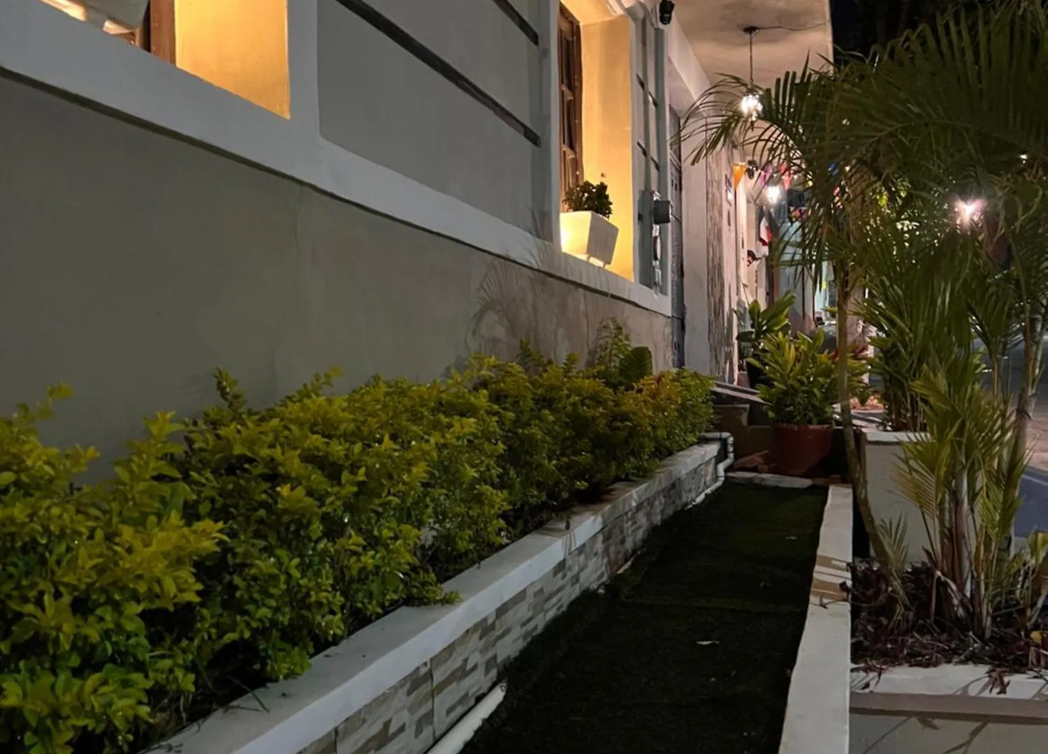 Eco-Hotel Black Tree Mazatlán