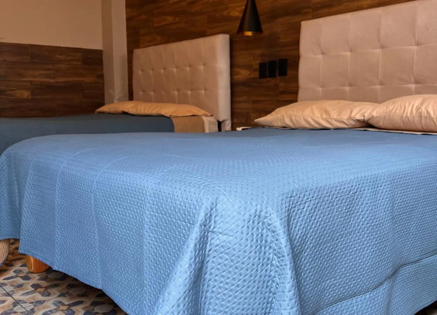 Eco-Hotel Black Tree Mazatlán Hotel